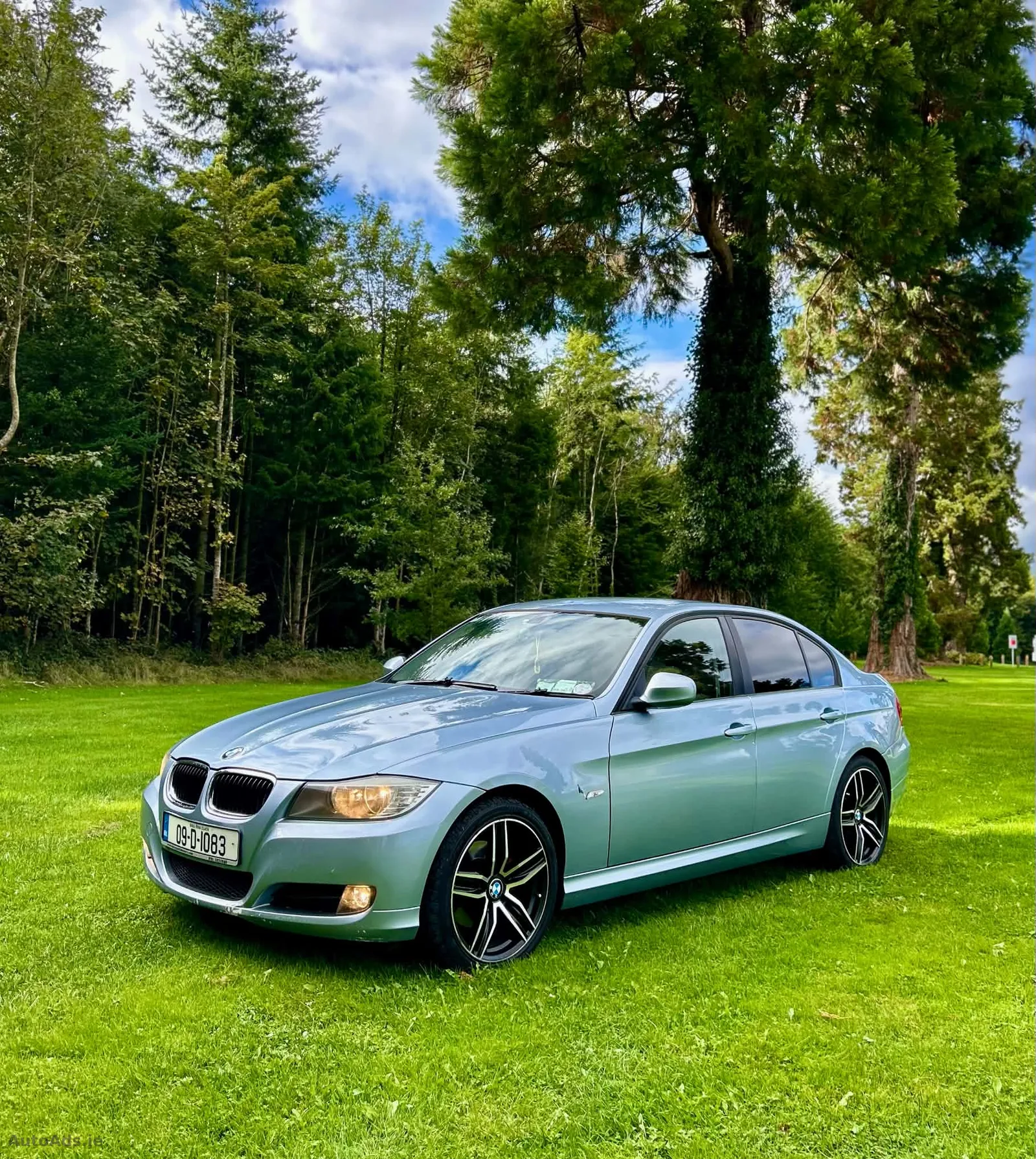 2009 BMW 3 Series