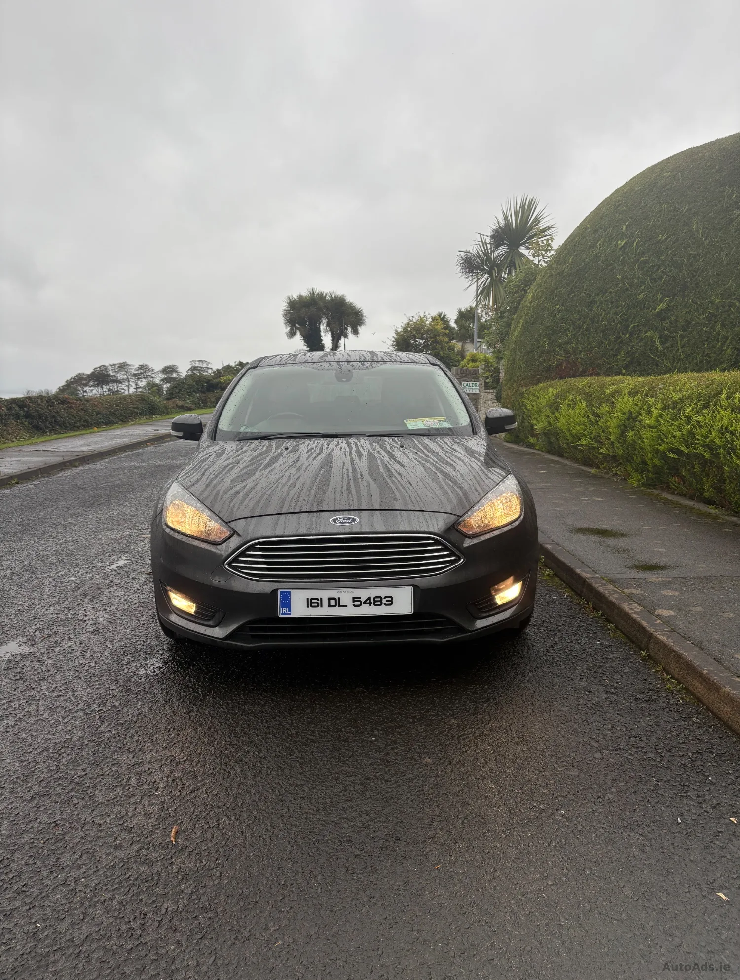 2016 Ford Focus – photo 2