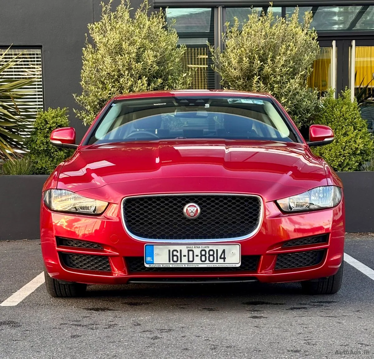 2016 Jaguar XE – photo 2
