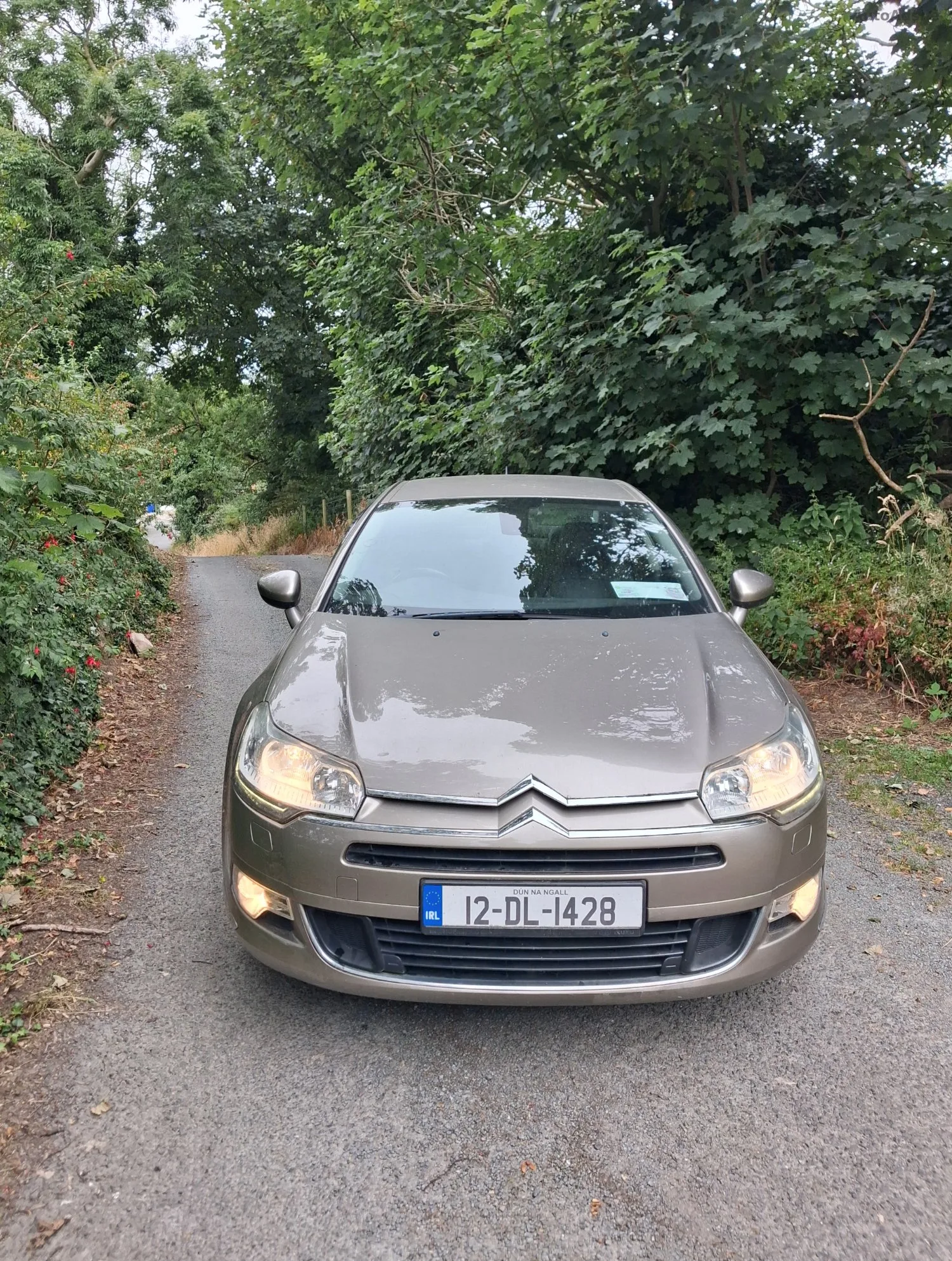 2012 Citroen C5