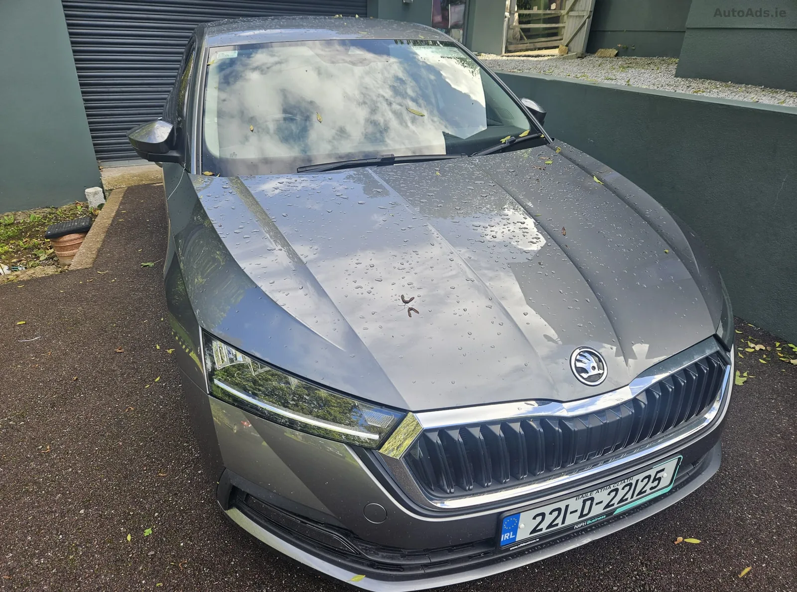 2022 Skoda Octavia – photo 5