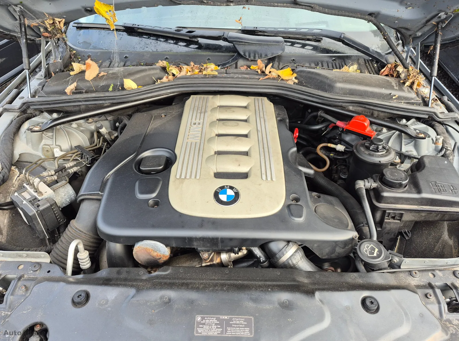 2006 BMW 5 Series – photo 3