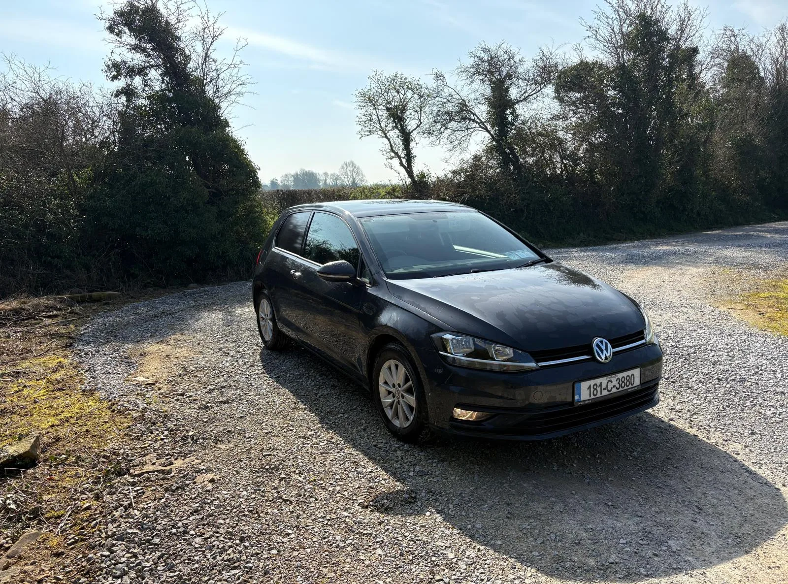 2018 Volkswagen Golf TL 1.6tdi 115HP 3DR