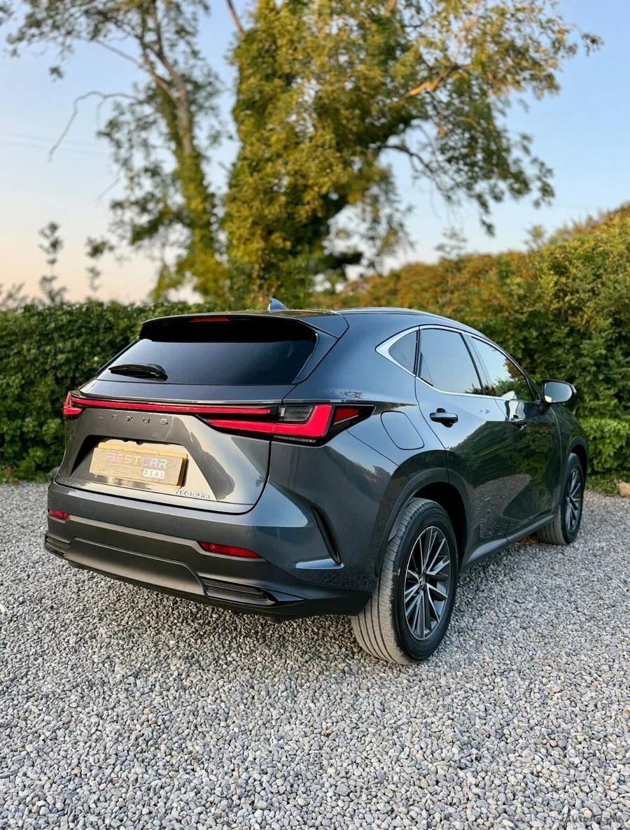 2025 Lexus NX 450h+ – photo 12