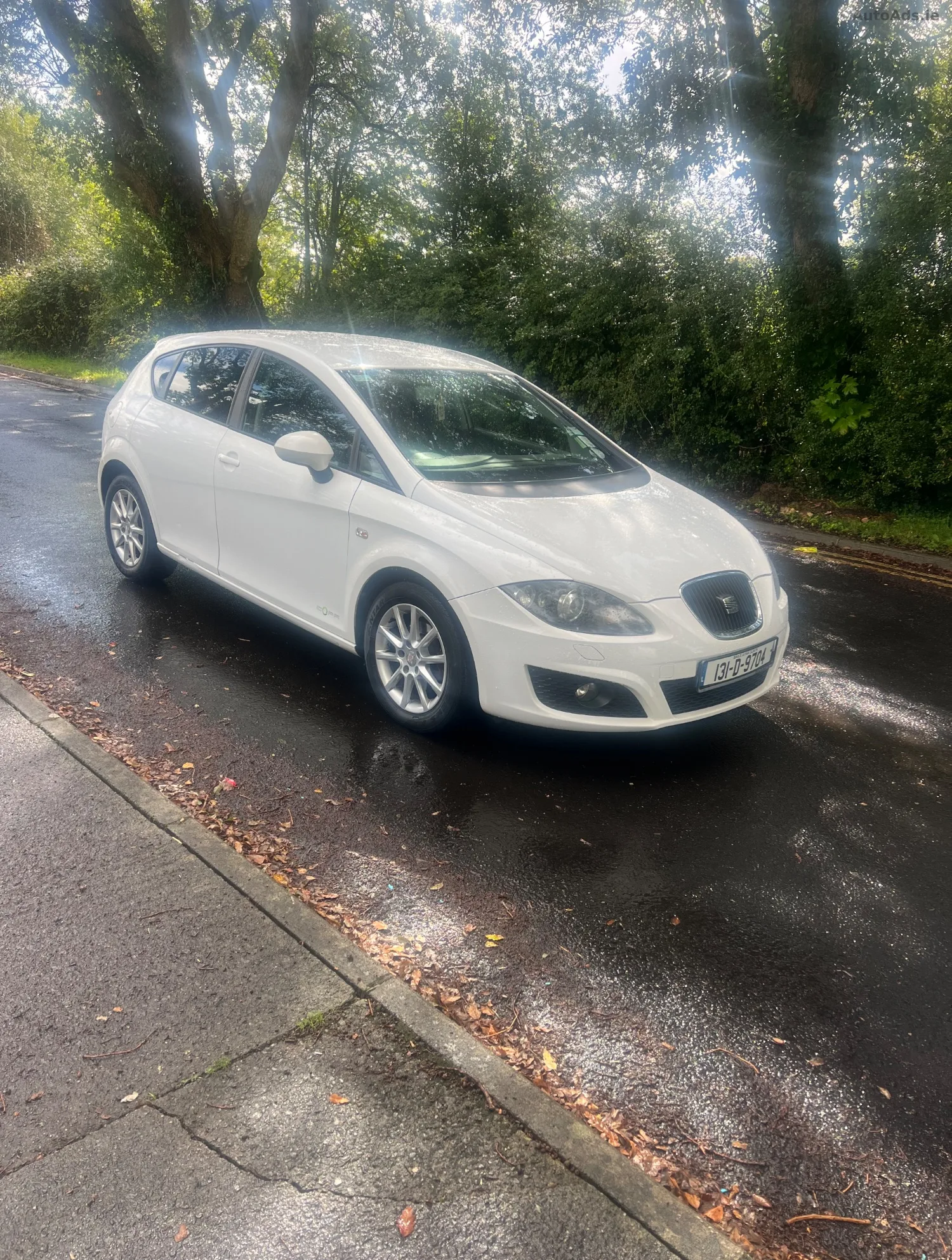 2013 SEAT Leon