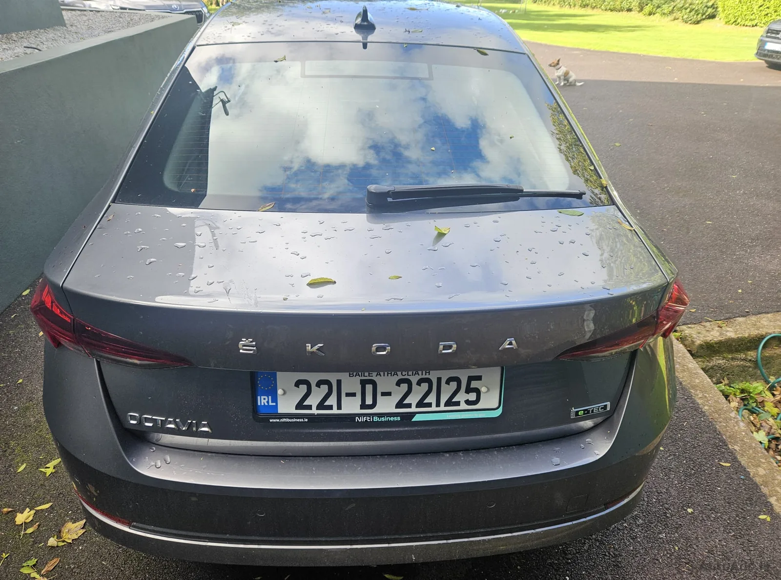 2022 Skoda Octavia – photo 4