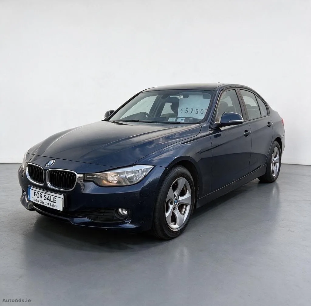 2013 BMW 3 Series
