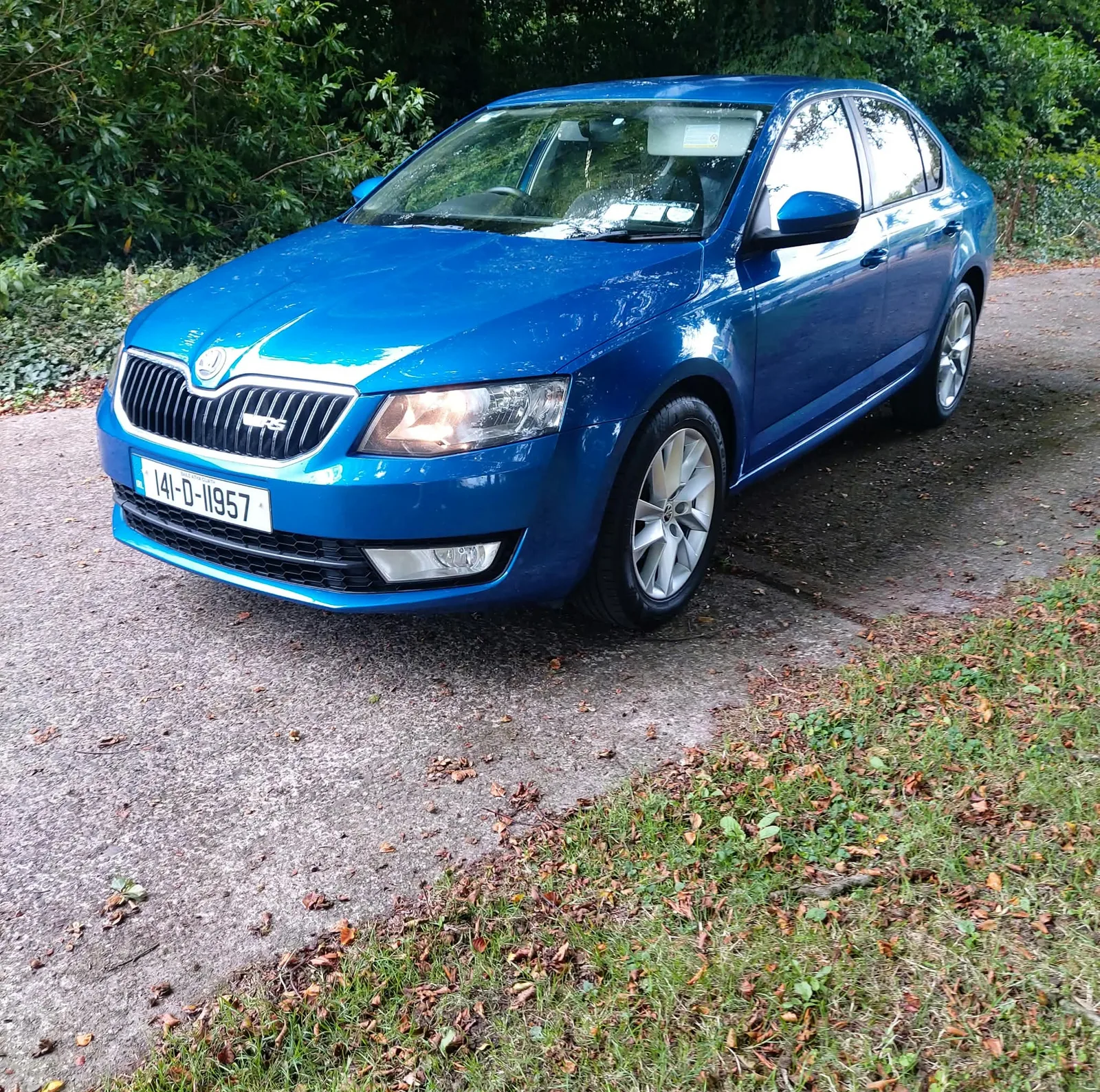 2014 Skoda Octavia – photo 3