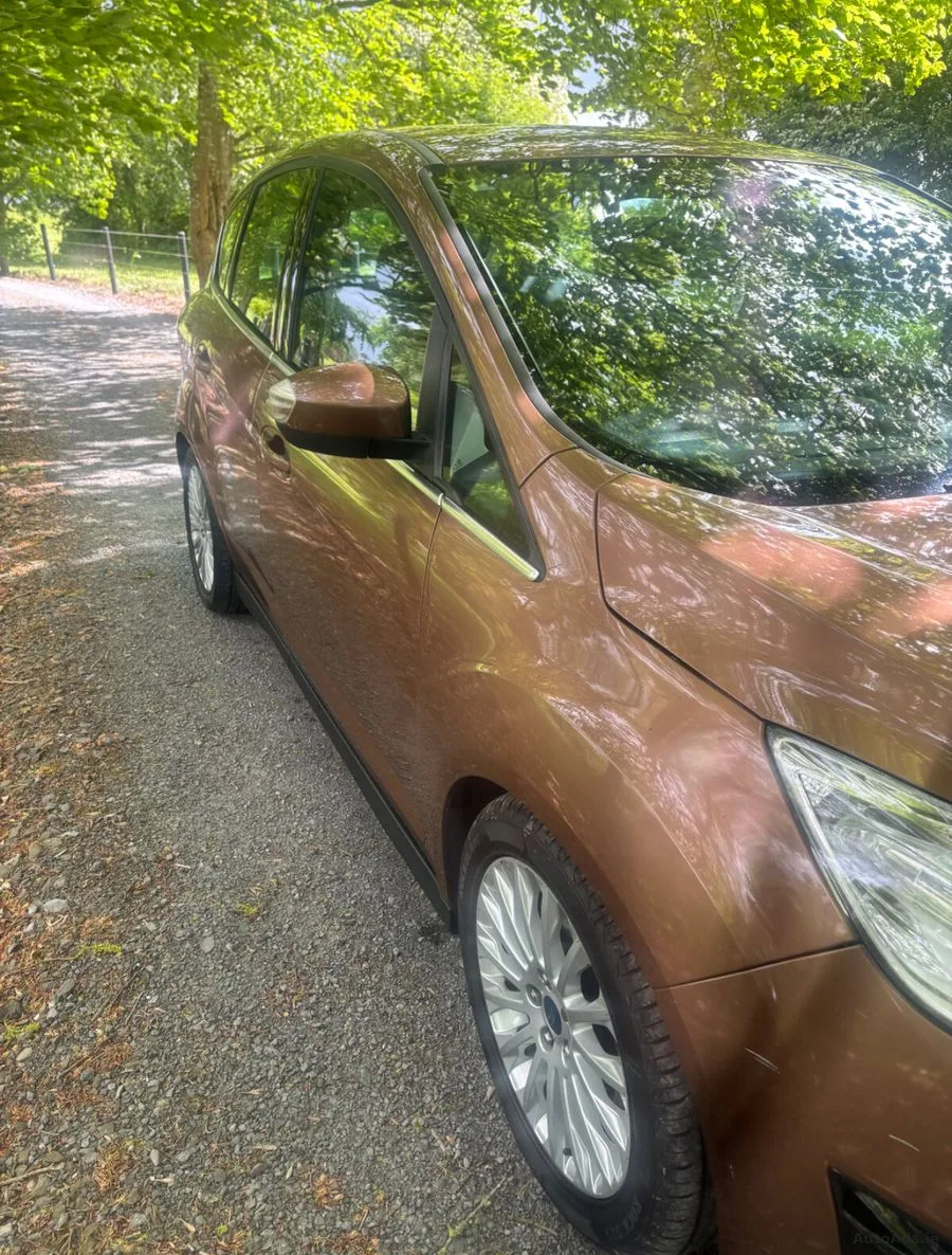 2013 Ford C-Max – photo 10