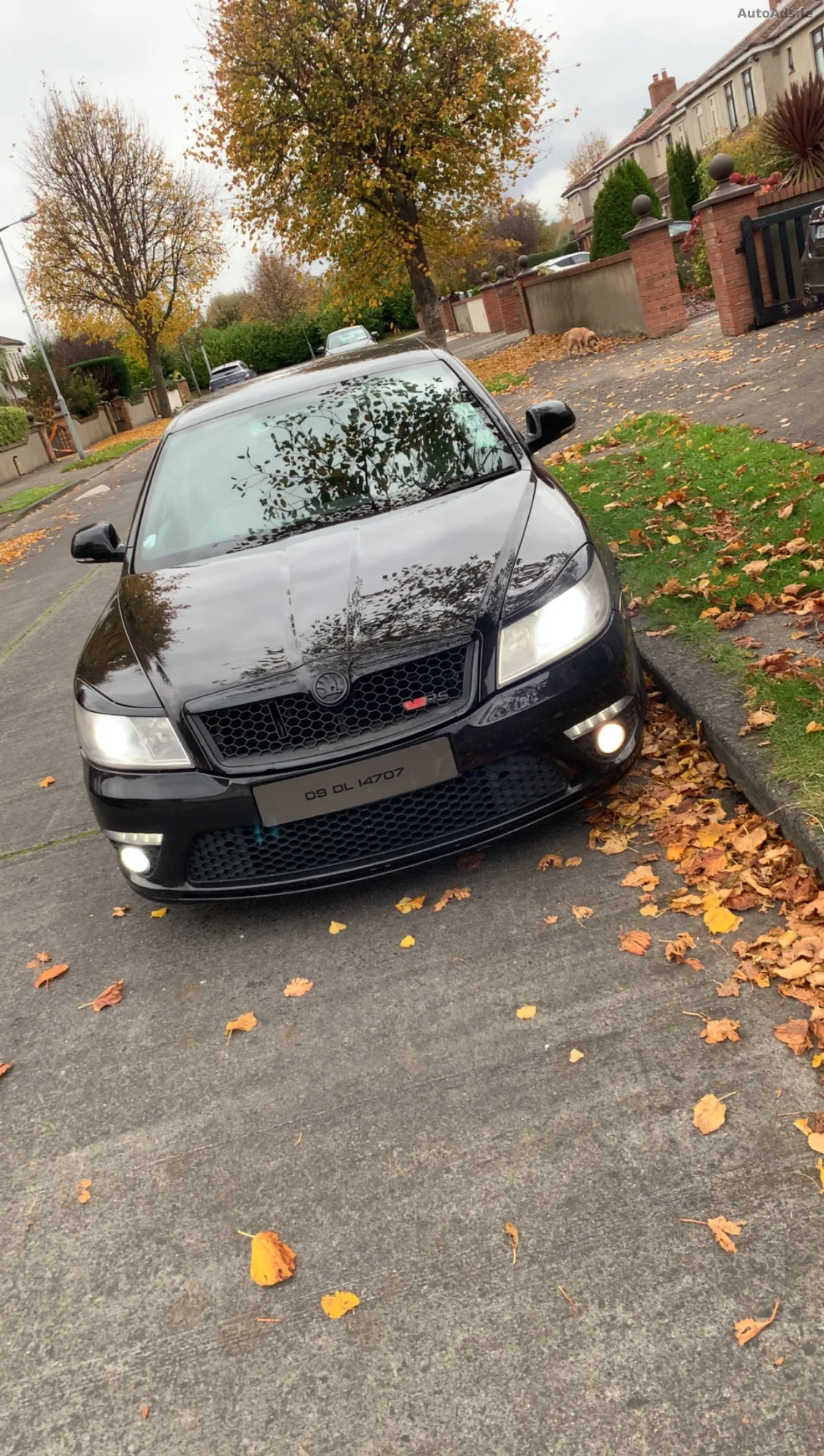 2009 Skoda Octavia – photo 9