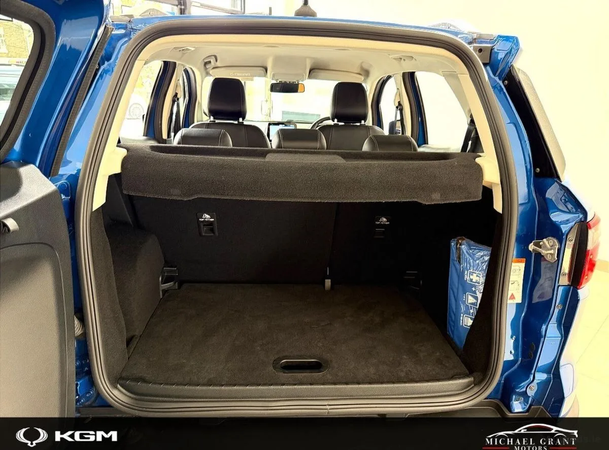 2020 Ford EcoSport – photo 19