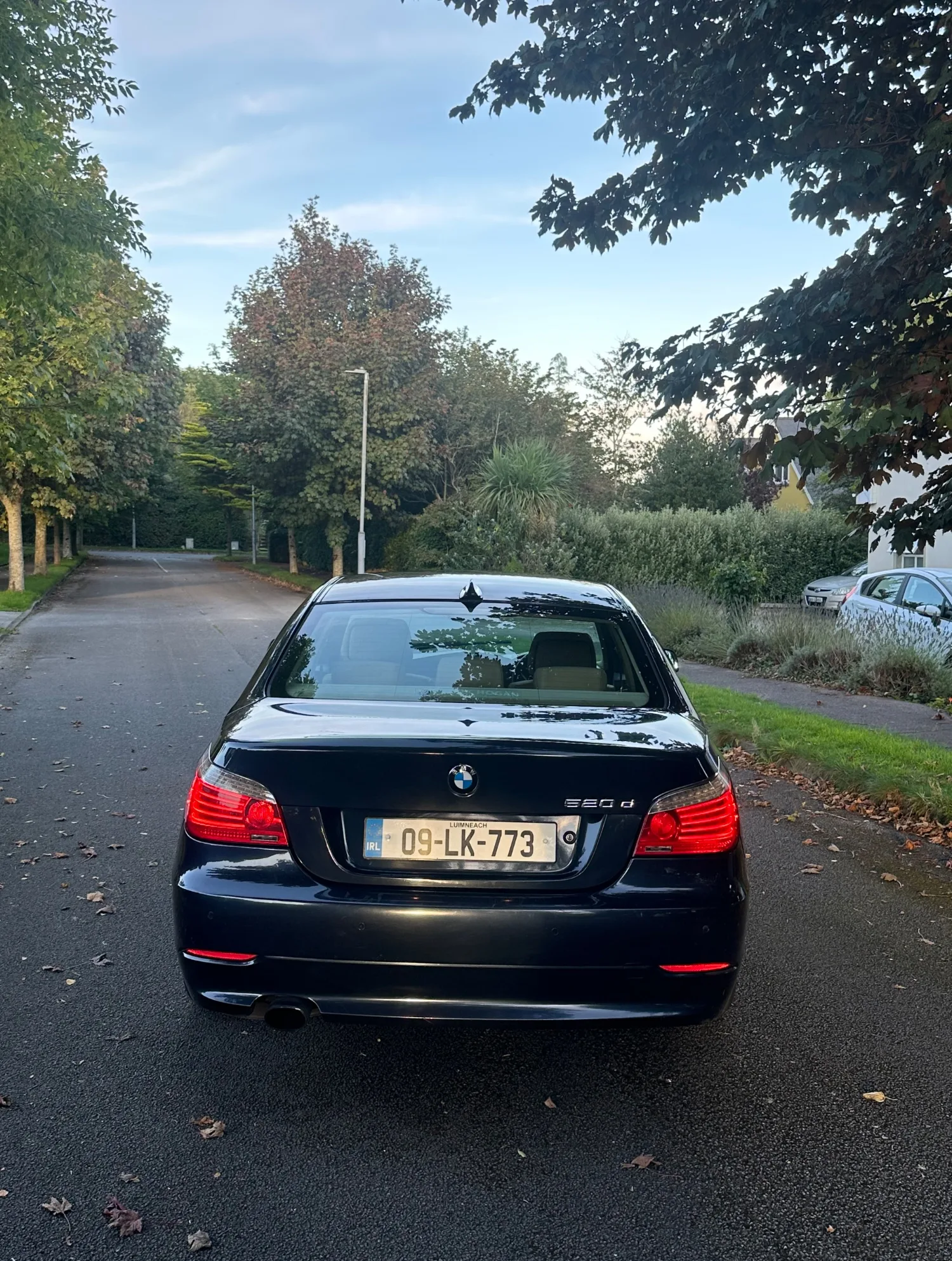 2009 BMW 5 Series – photo 4