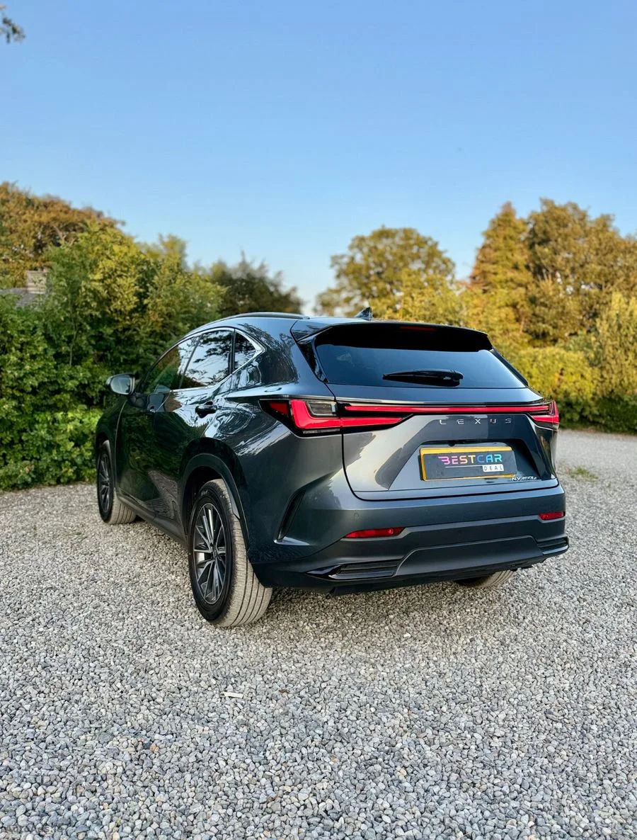 2025 Lexus NX 450h+ – photo 10