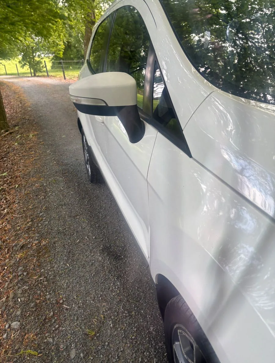 2015 Ford EcoSport – photo 9