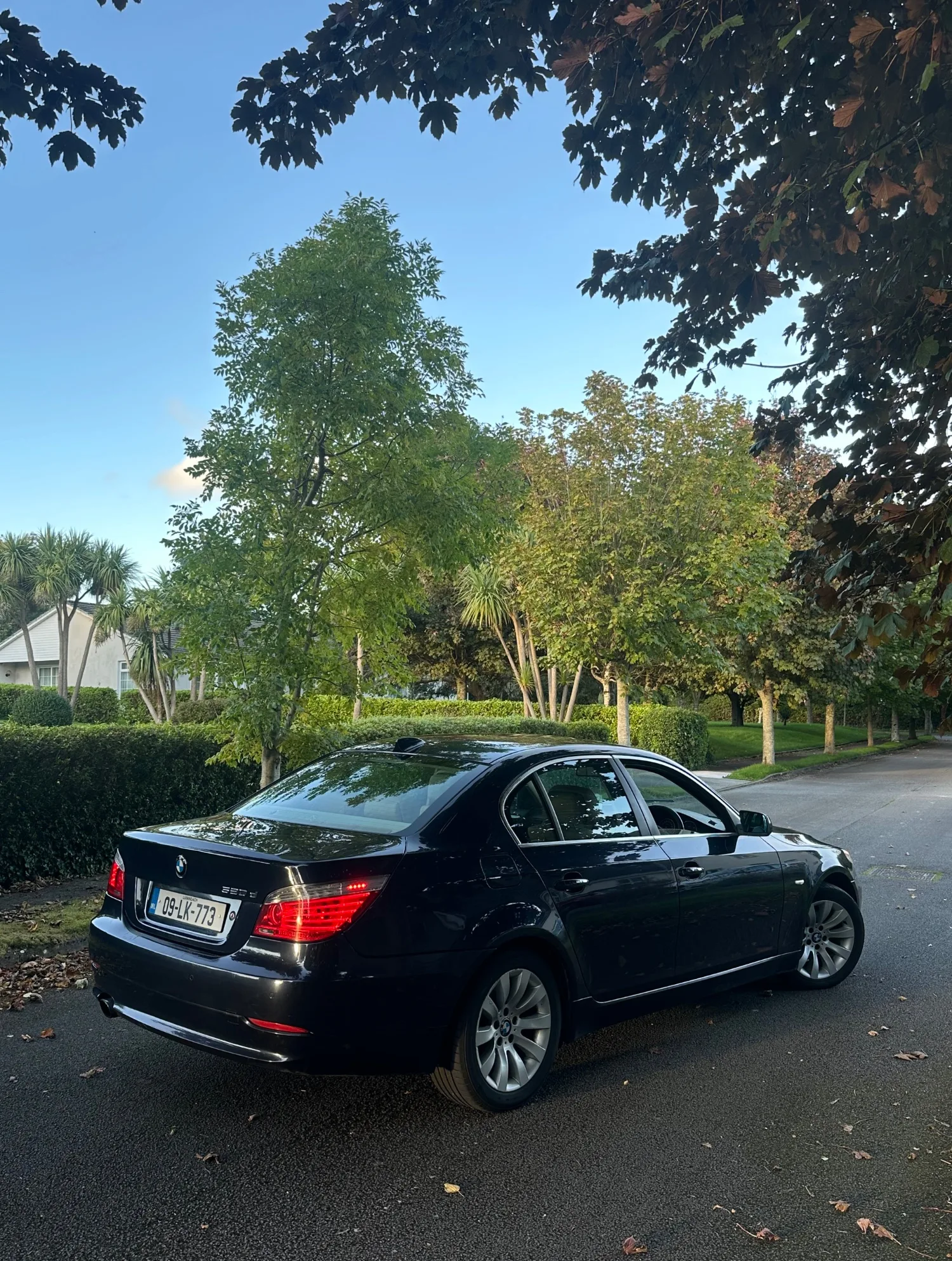 2009 BMW 5 Series – photo 3