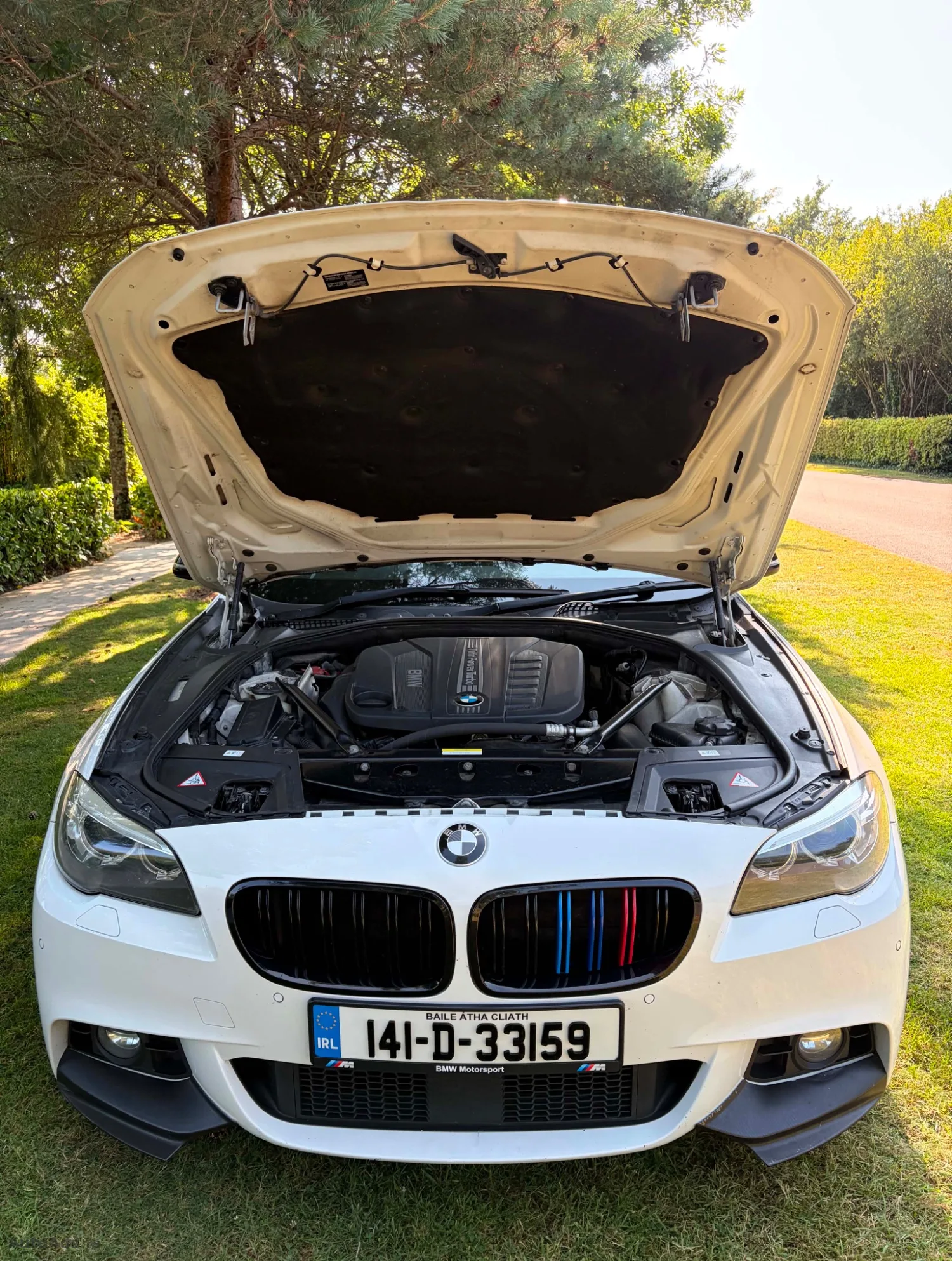 2014 BMW 5 Series – photo 6