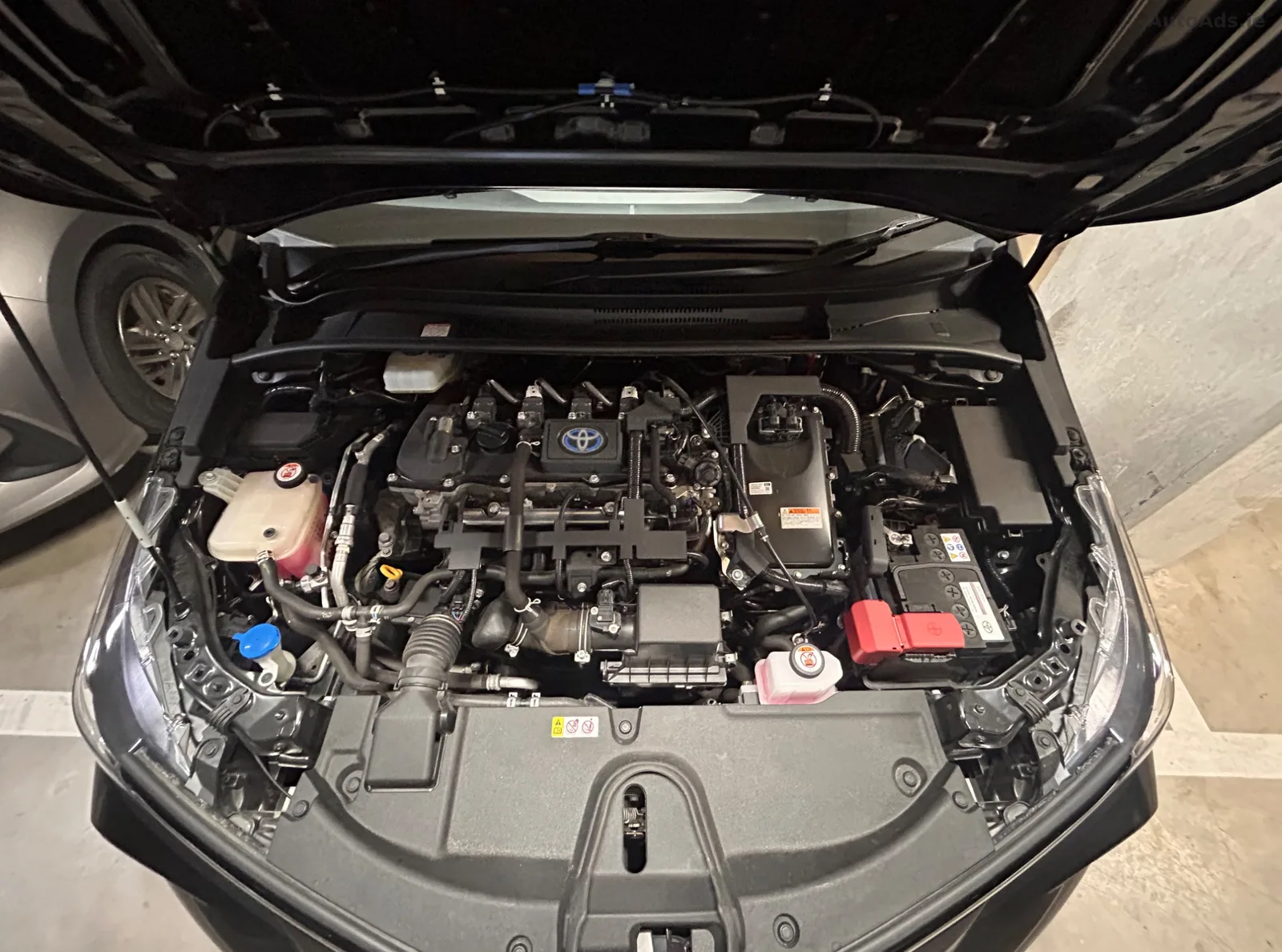 2021 Toyota Corolla – photo 5