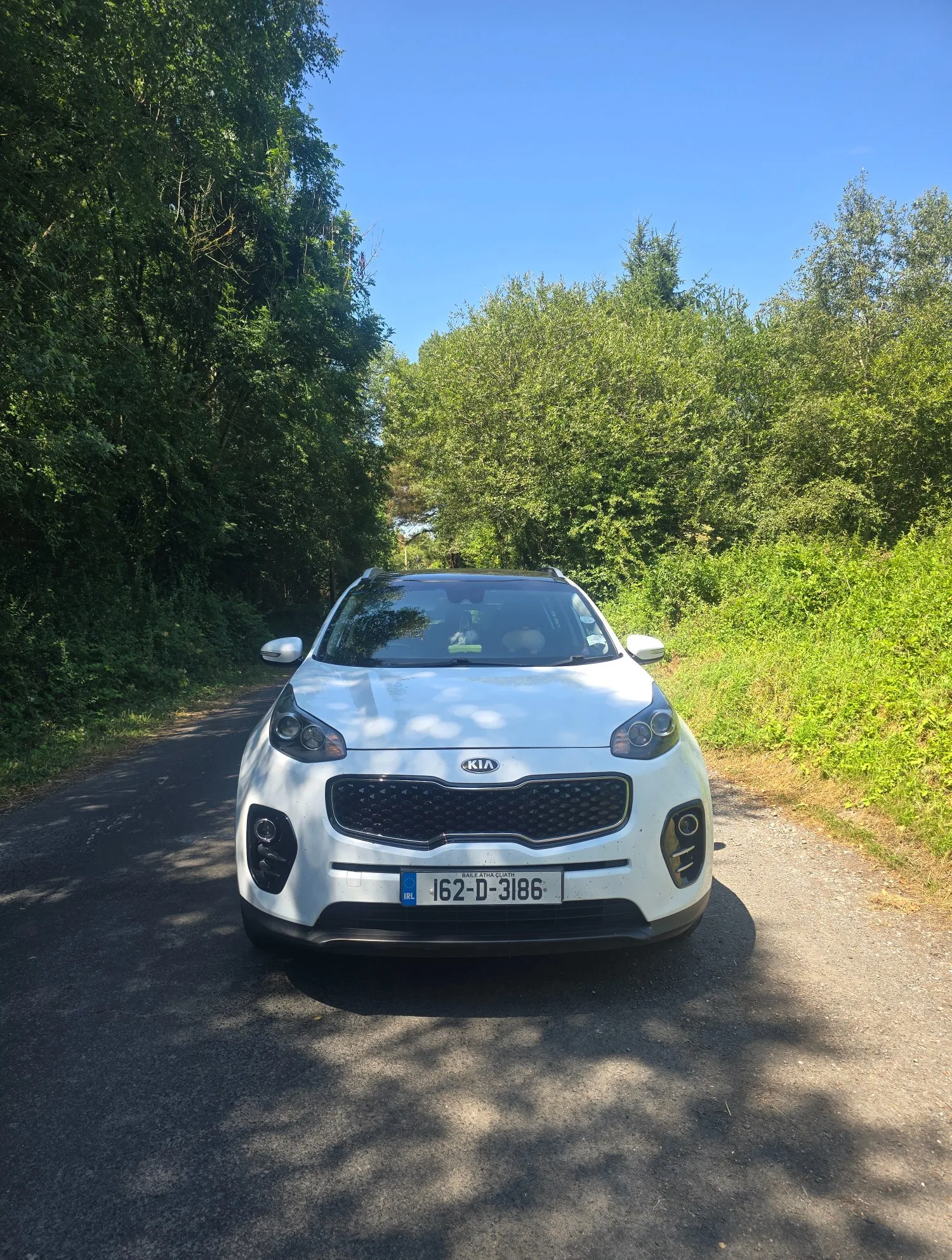 2016 Kia Sportage – photo 7
