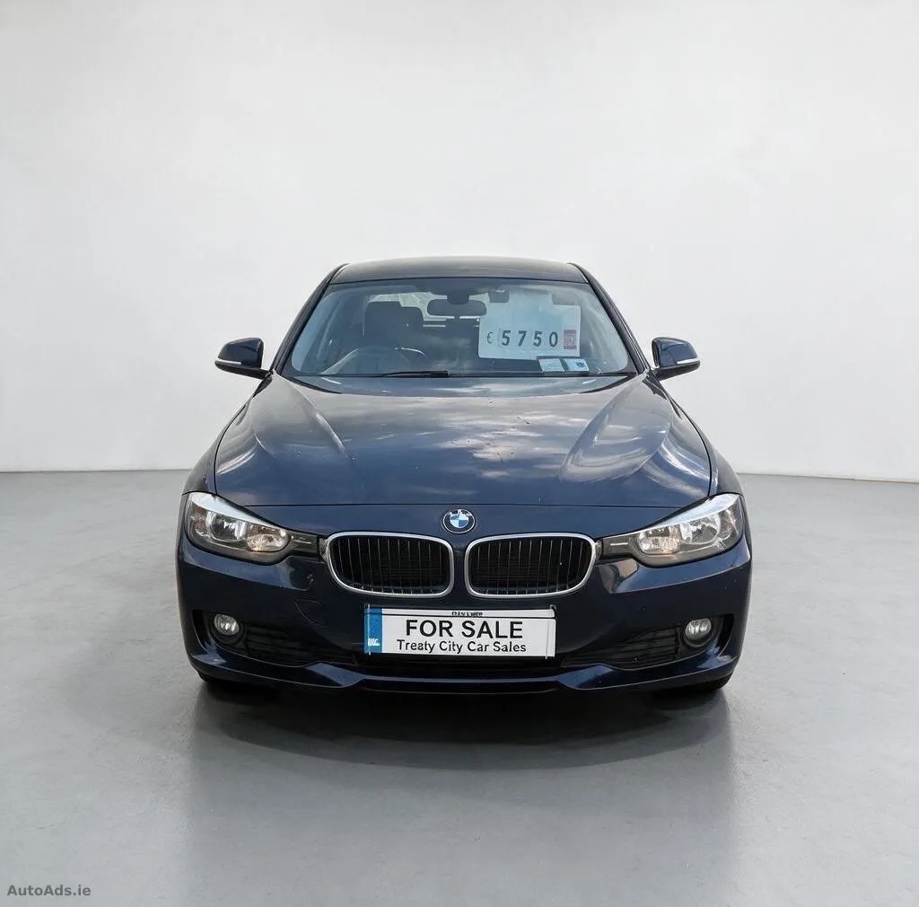 2013 BMW 3 Series – photo 2