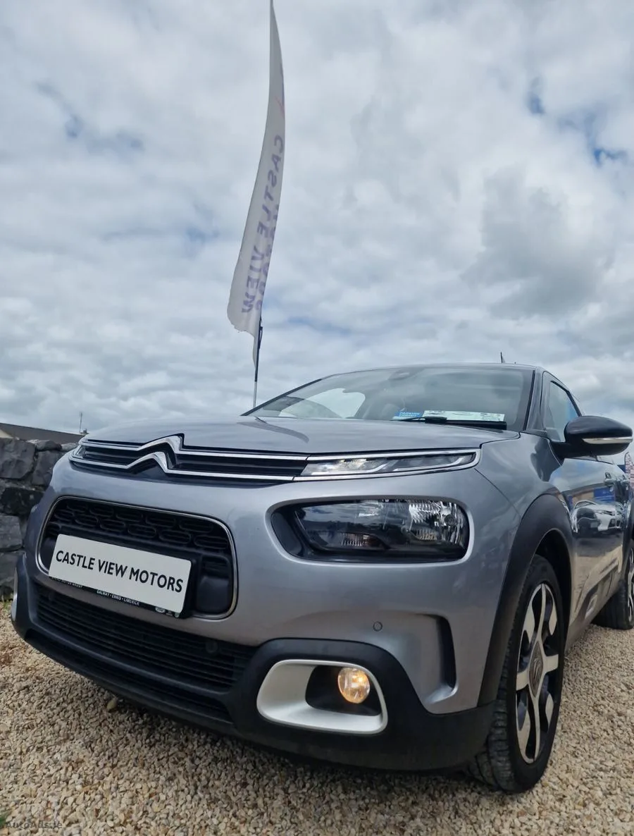 2018 Citroen C4 Cactus – photo 3