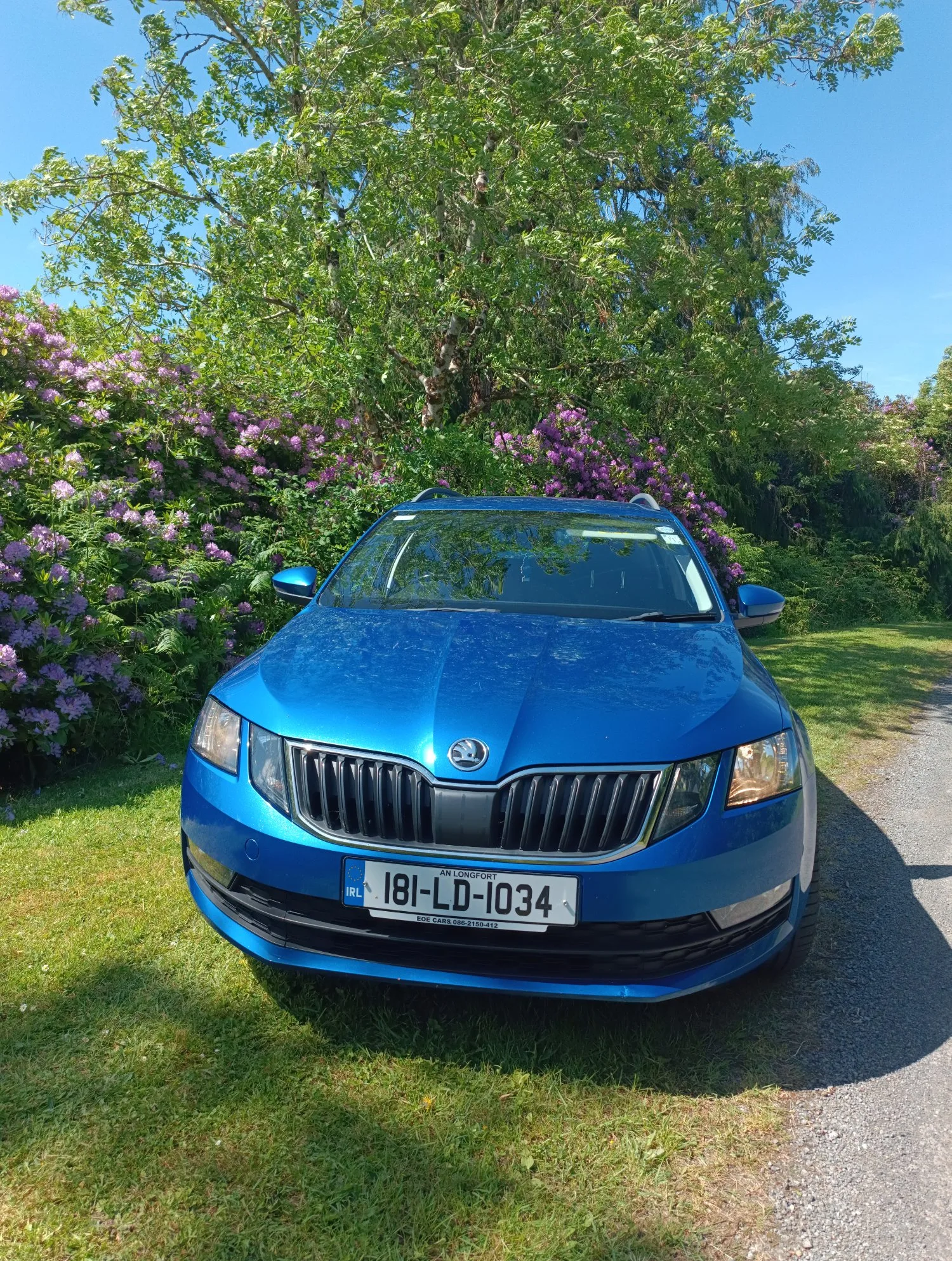2018 Skoda Octavia – photo 3