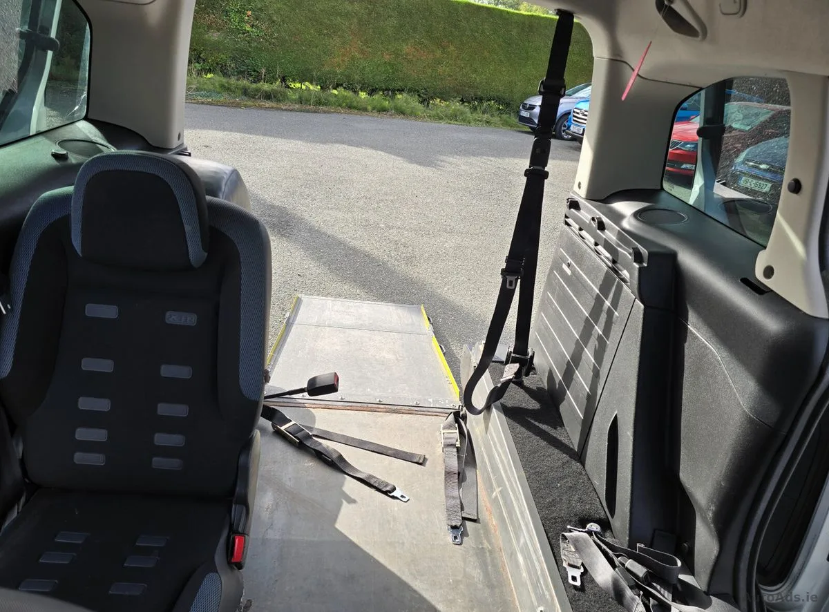2010 Citroen Berlingo Multispace – photo 20