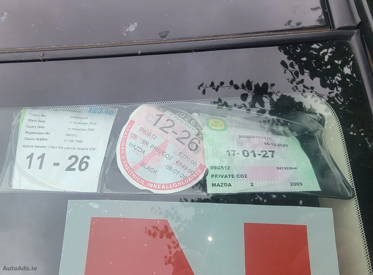 2009 Mazda Mazda2 – photo 12