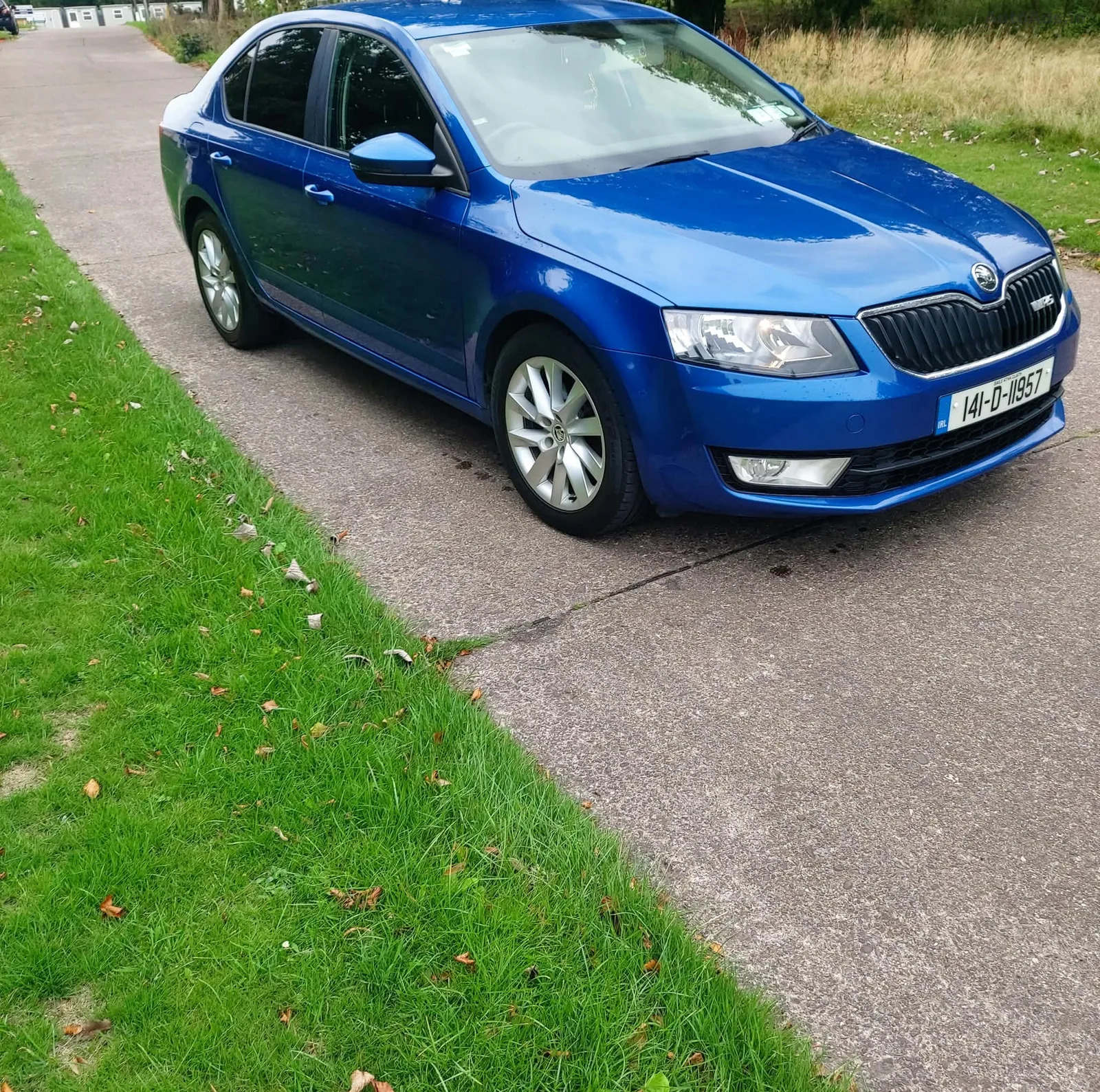 2014 Skoda Octavia – photo 2
