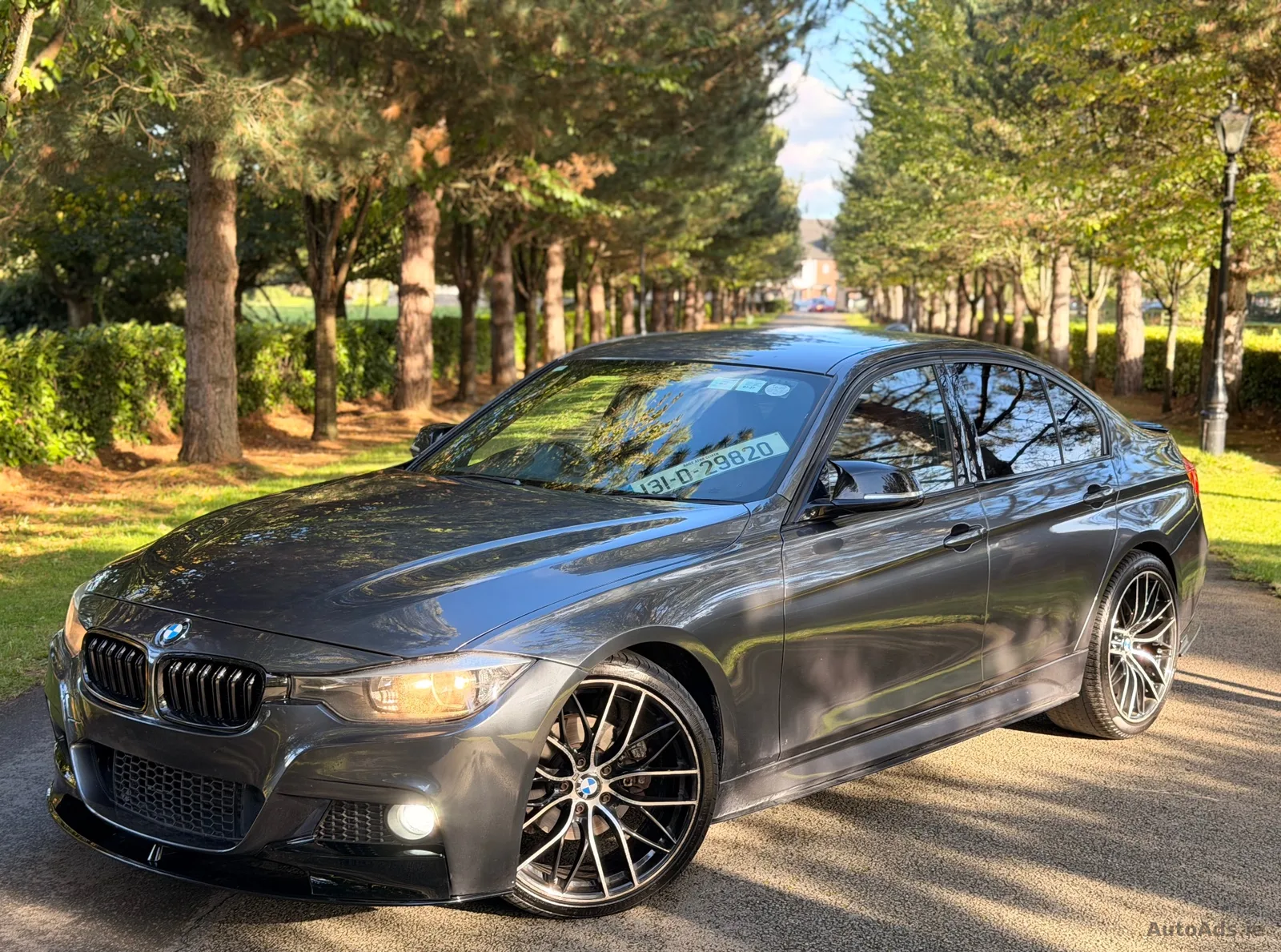 2013 BMW 3 Series – photo 3
