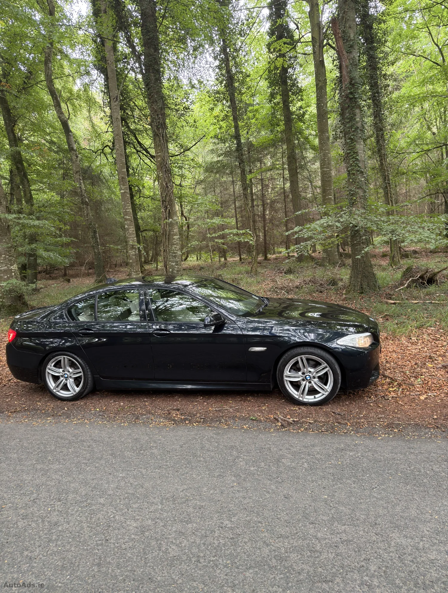 2011 BMW 5 Series