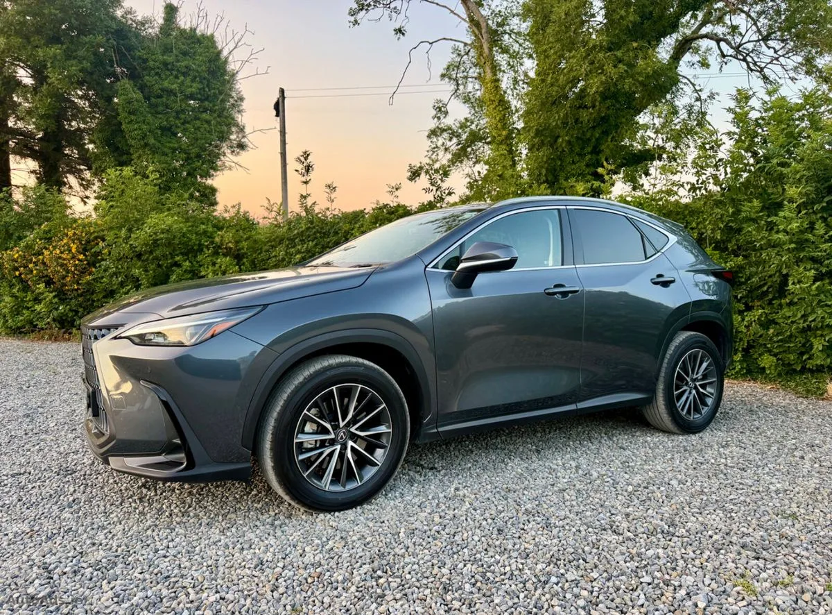2025 Lexus NX 450h+ – photo 9