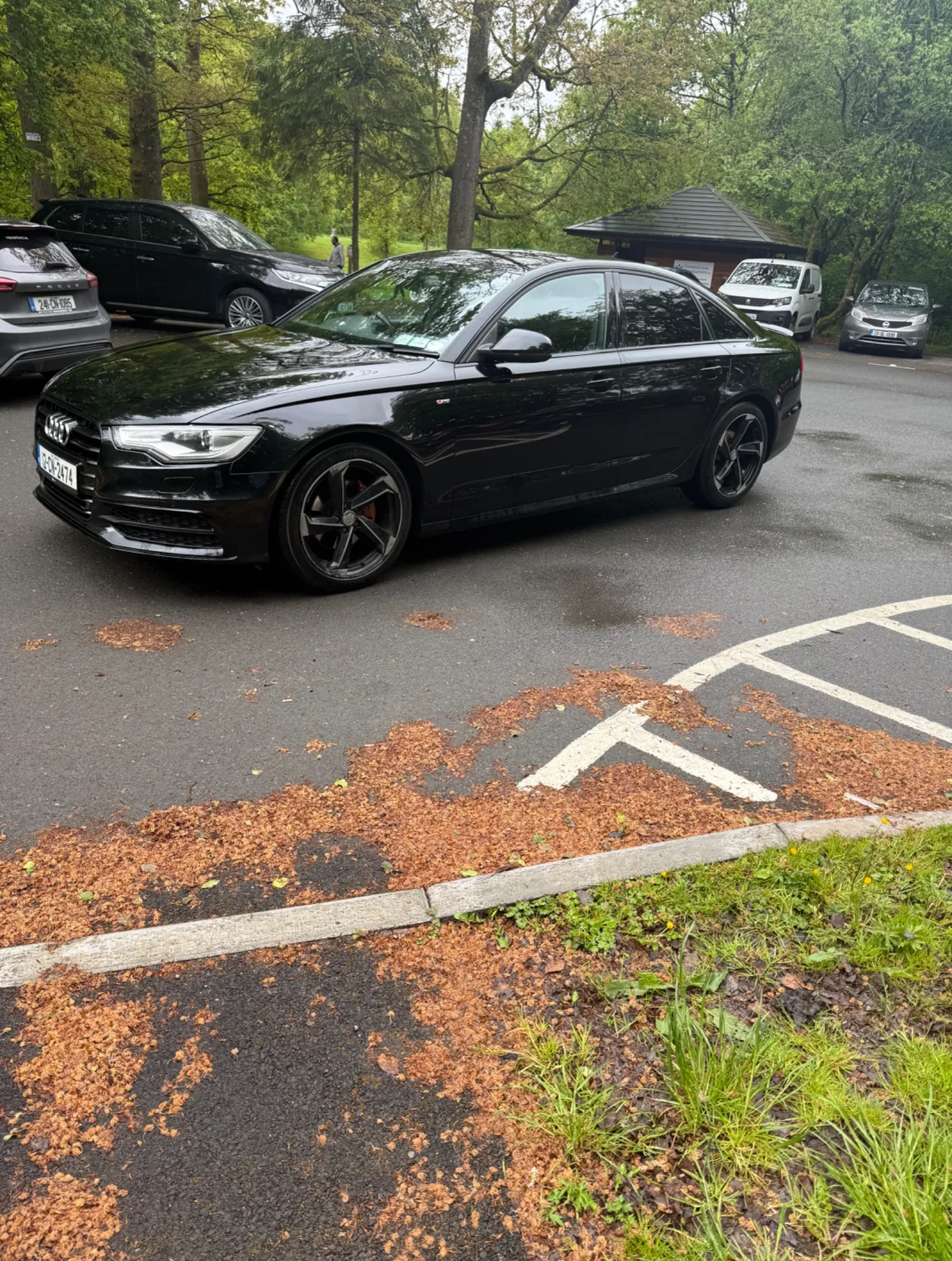 2012 Audi A6 – photo 6