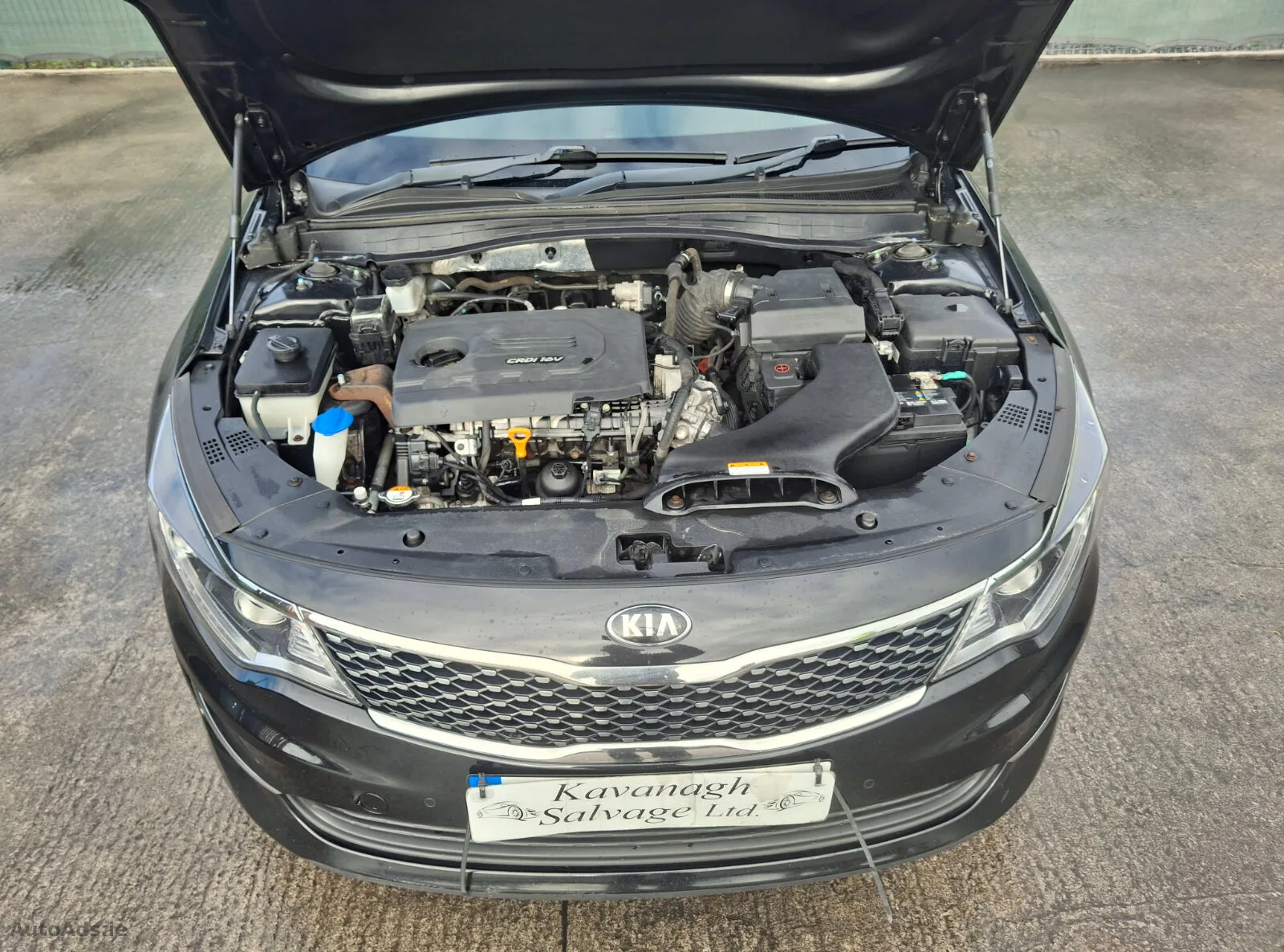 2017 Kia Optima – photo 8