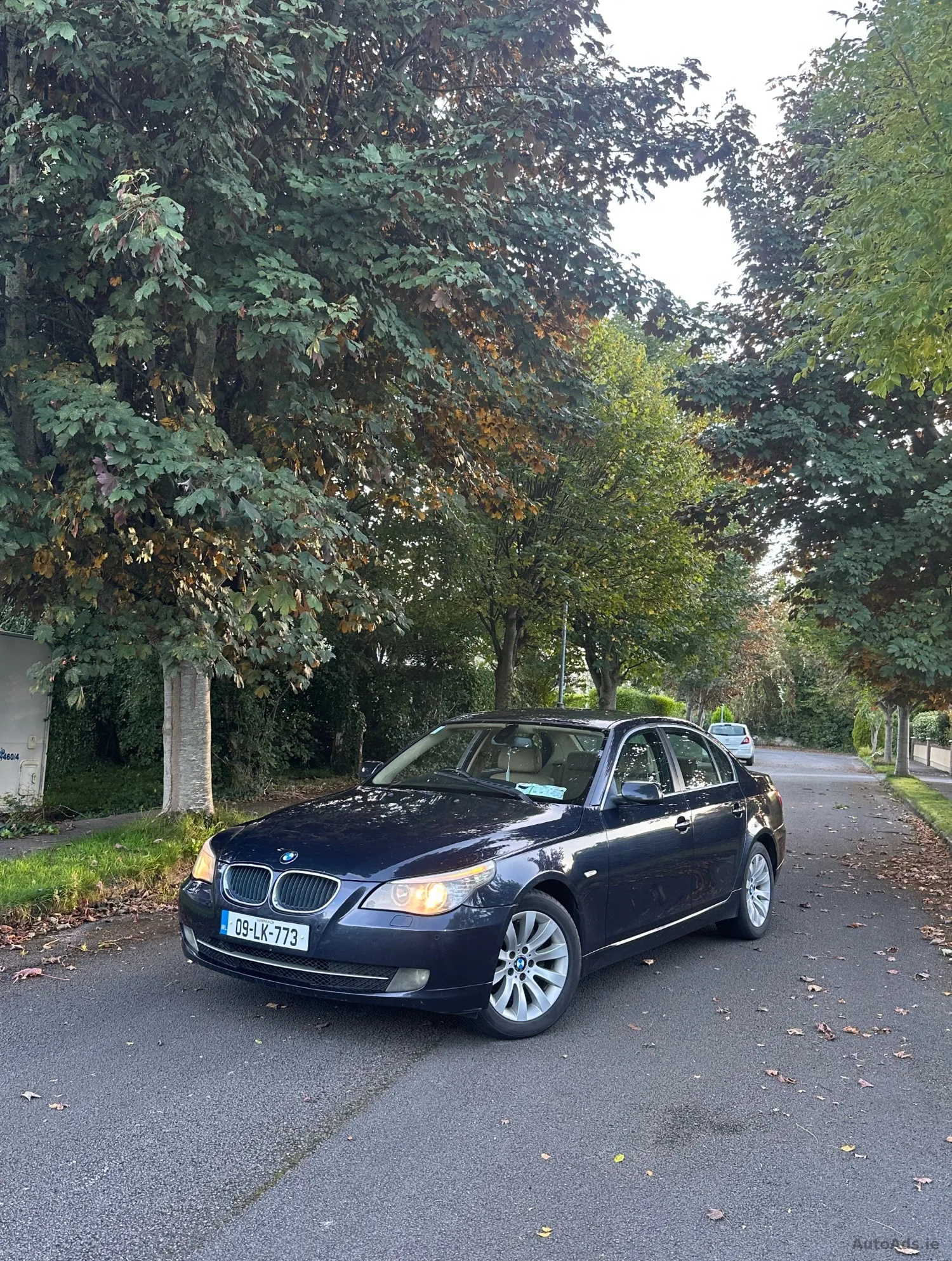 2009 BMW 5 Series